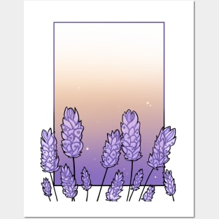 Lavenders in the Sunset Posters and Art